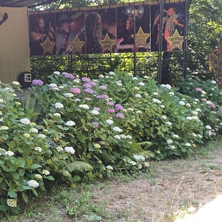 Blues Village Lagodechi Exterior foto
