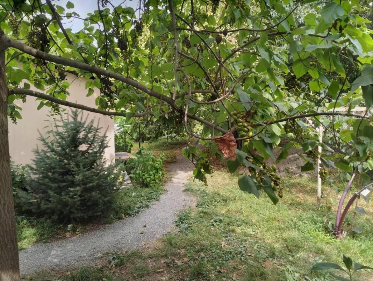 Blues Village Lagodechi Exterior foto