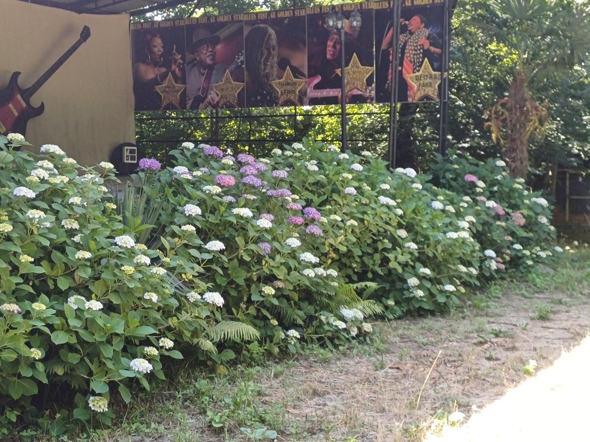 Blues Village Lagodechi Exterior foto