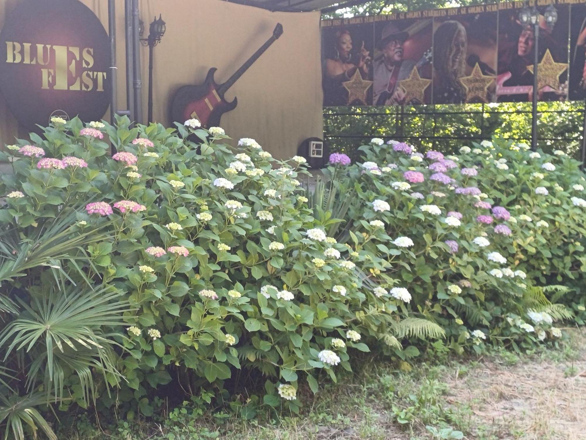 Blues Village Lagodechi Exterior foto
