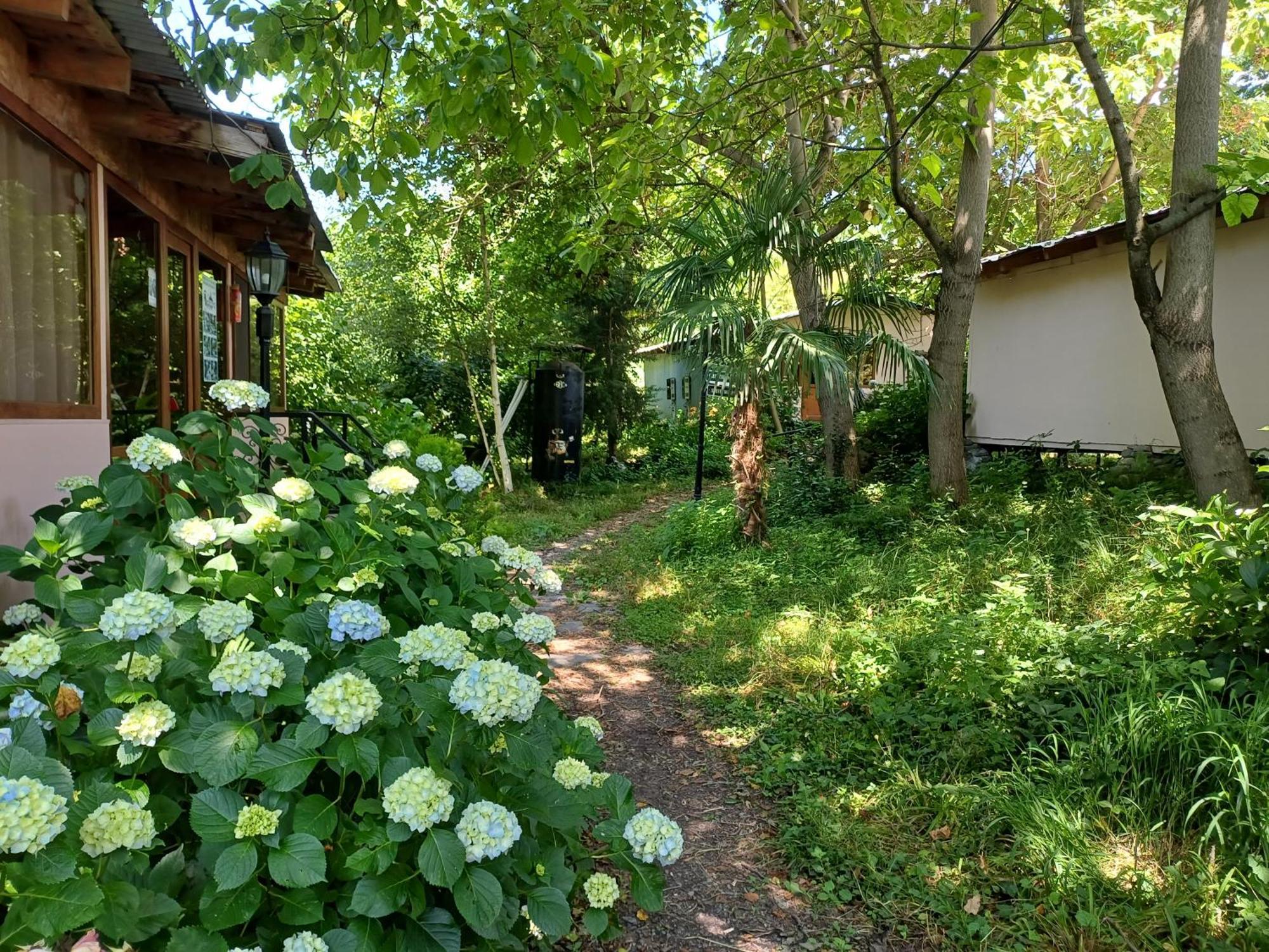 Blues Village Lagodechi Exterior foto