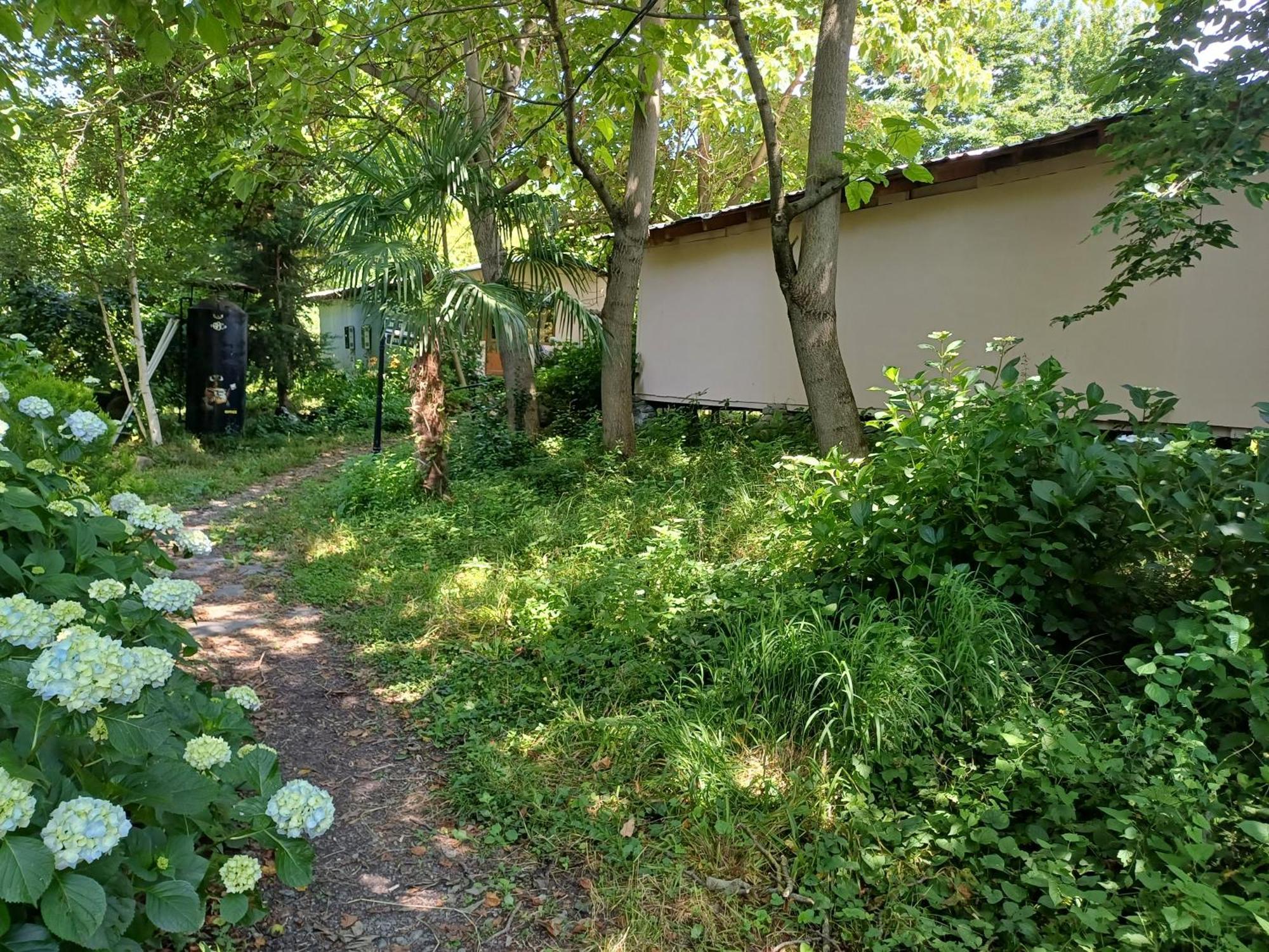 Blues Village Lagodechi Exterior foto