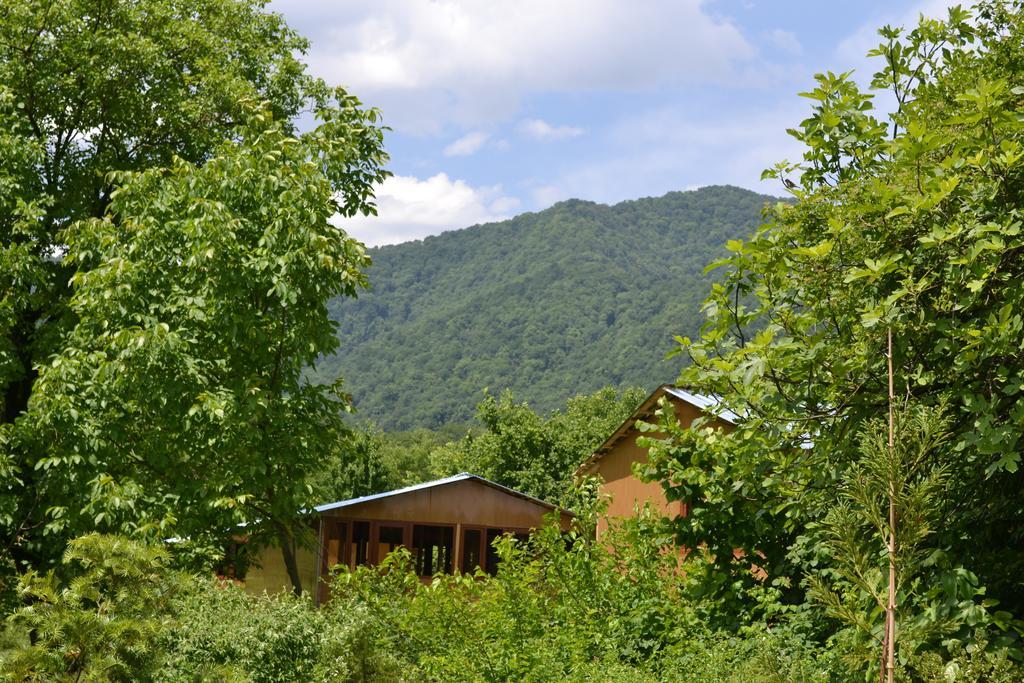 Blues Village Lagodechi Exterior foto